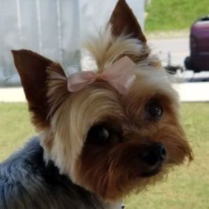 Meet your Posher, Janice